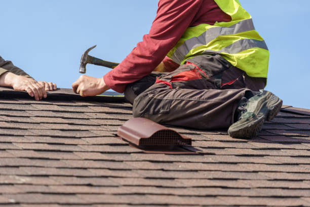 Best Metal Roofing Contractor  in Mount Vernon, VA