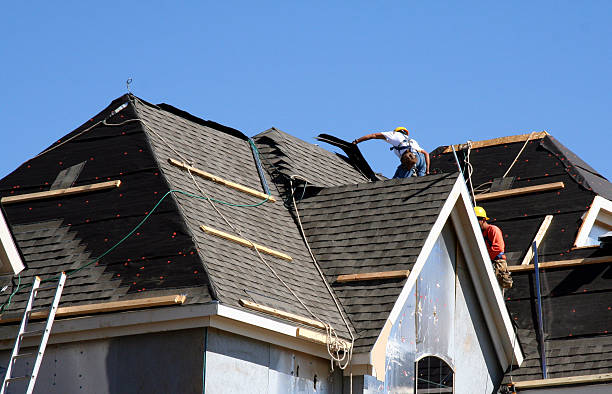 Best Roof Gutter Cleaning  in Mount Vernon, VA