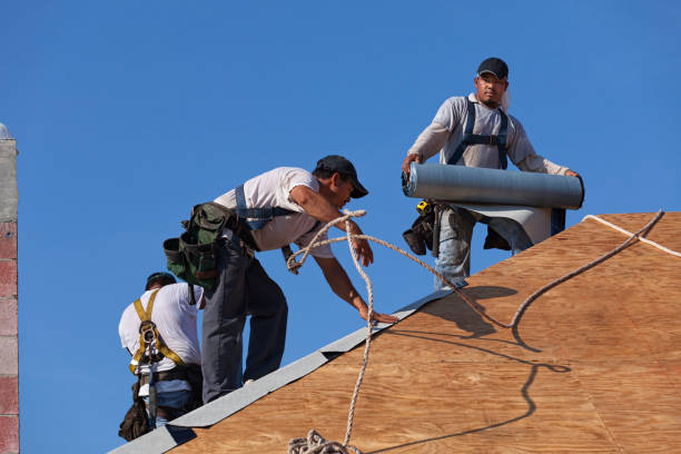 Best Roof Maintenance Services  in Mount Vernon, VA